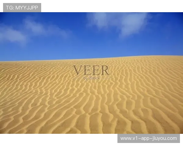 “荒野追逐：沙丘上的生死极速战”，荒野追击的经典电影